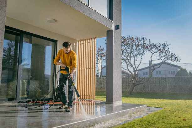 Best Soft Washing for Delicate Surfaces in Windber, PA